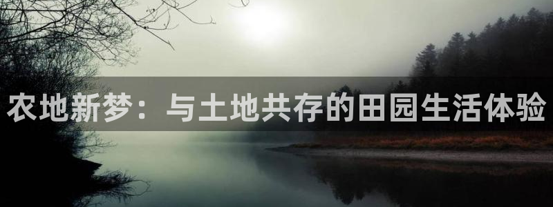 天辰娱乐输了