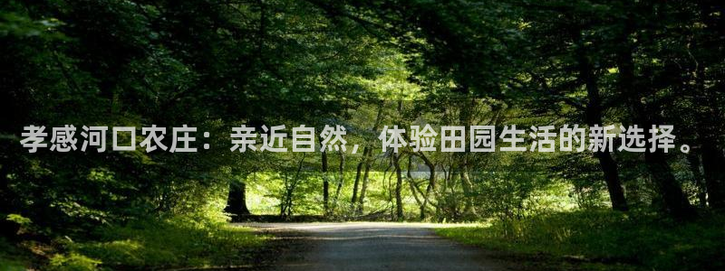 天辰娱乐新