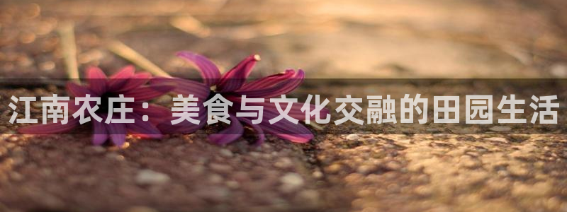 天辰娱乐885544