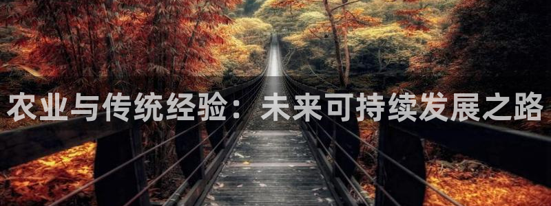 天辰娱乐675138