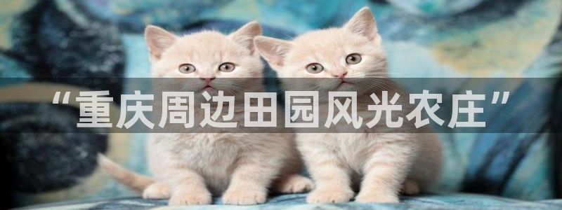 南京天辰娱乐