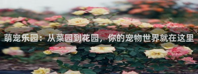 天辰娱乐路线