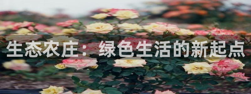 天辰娱乐 主管