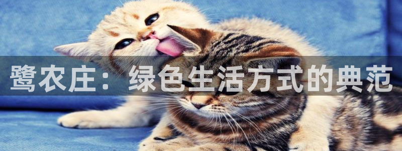 天辰娱乐登陆