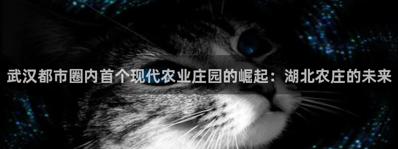 天辰娱乐地址