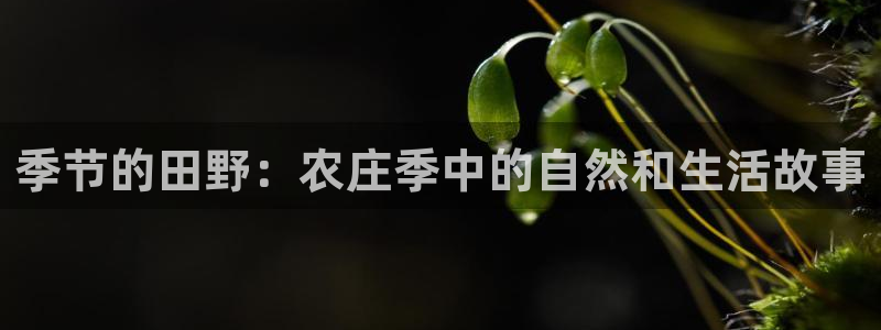 天辰娱乐平台地址在哪里