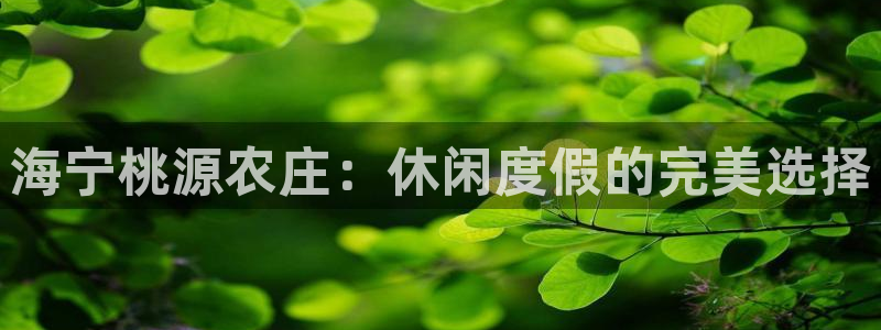 天辰娱乐51137