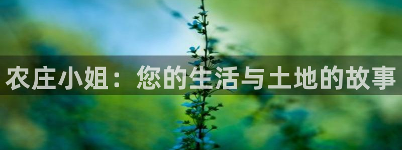 天辰娱乐股票