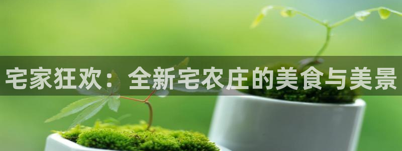 天辰娱乐51137