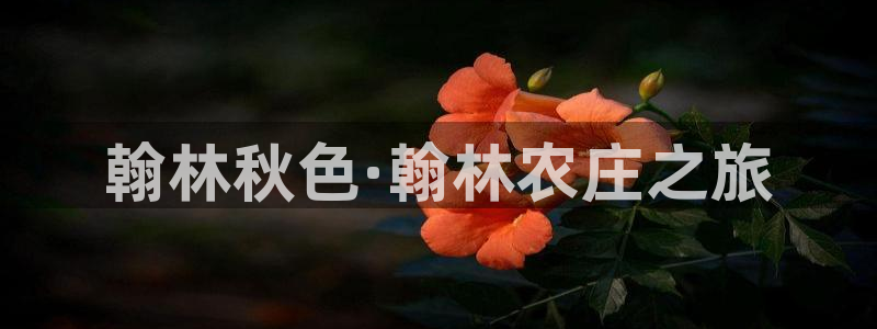 天辰娱乐集团