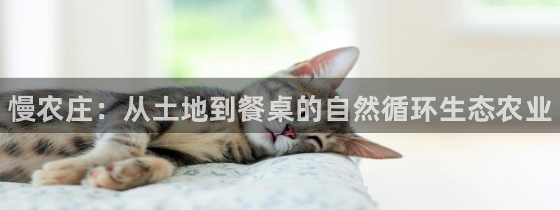 天辰在线娱乐