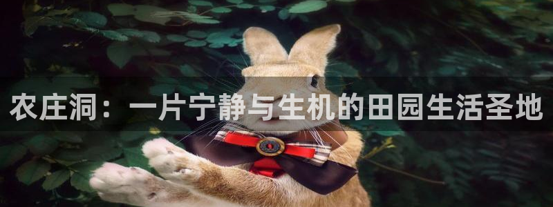 天辰娱乐39596