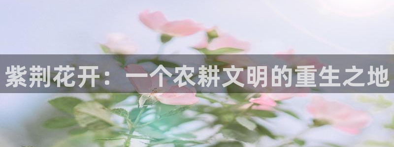 天辰a娱乐