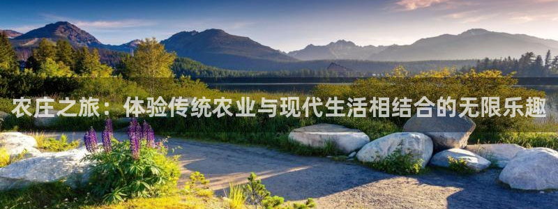 天辰娱乐登陆