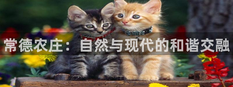 天辰娱乐注册登录