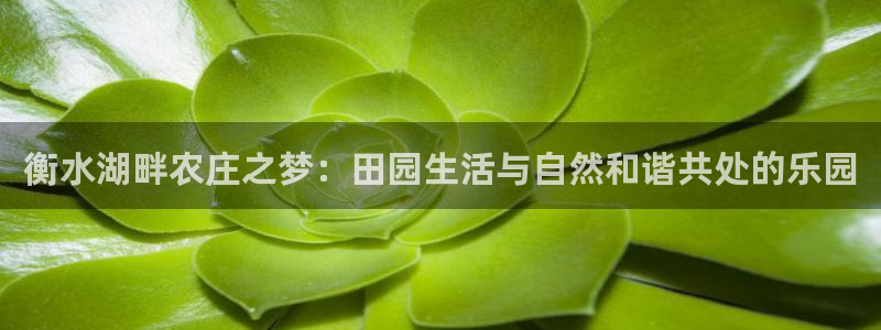 天辰娱乐885544