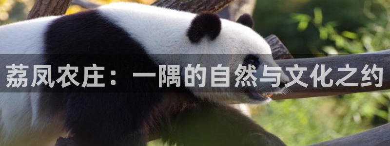 天辰娱乐728567