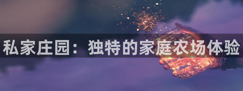 天辰娱乐老板