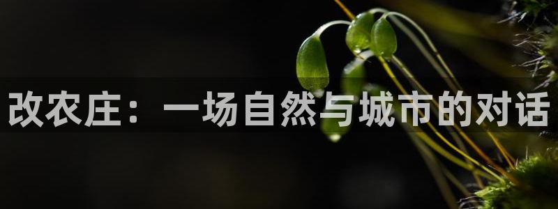 天辰娱乐测速