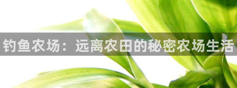 天辰娱乐官方