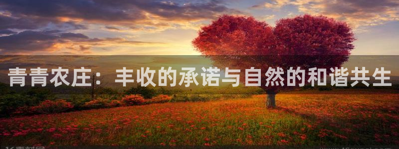 天辰娱乐平台靠谱么