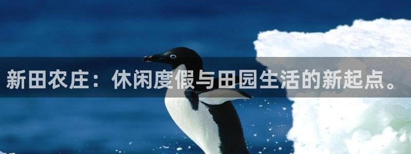天辰娱乐39596