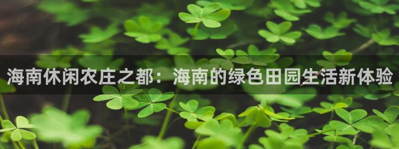 天辰娱乐输了