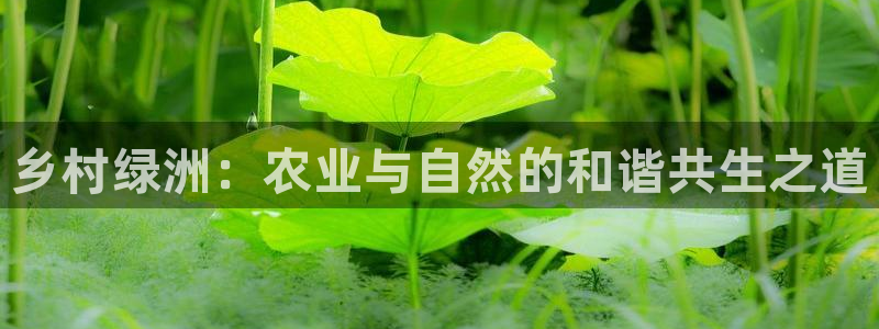 天富天辰娱乐