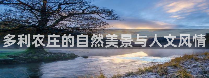 天辰娱乐会所