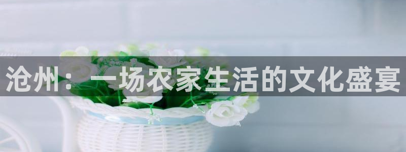 天辰娱乐44616
