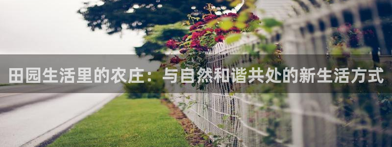 天辰娱乐游戏平台怎么样