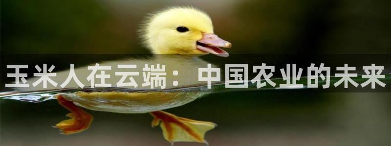天辰娱乐开户
