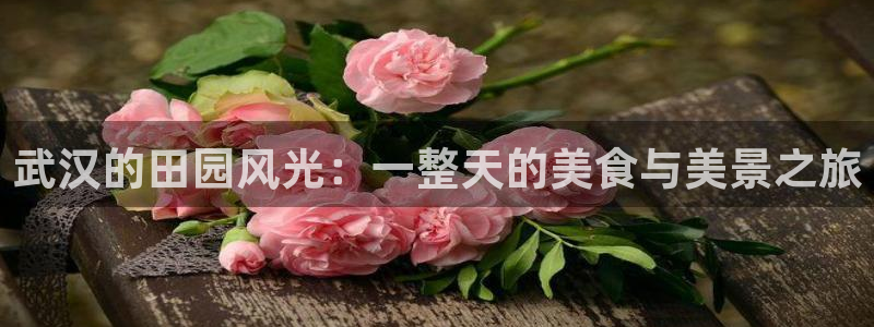 天辰娱乐电话