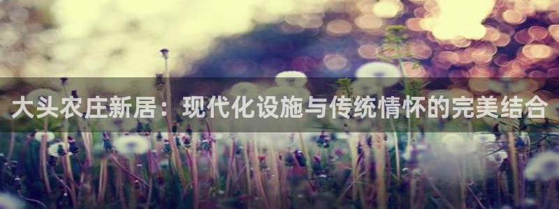 天富天辰娱乐