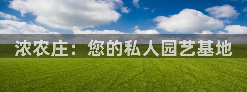 天辰娱乐待遇