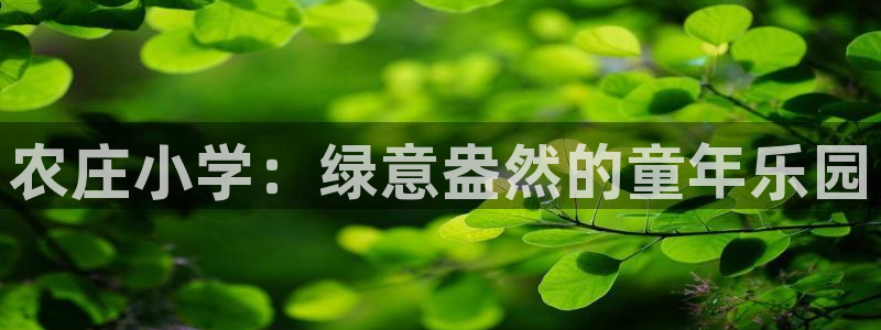 天辰娱乐天辰宝