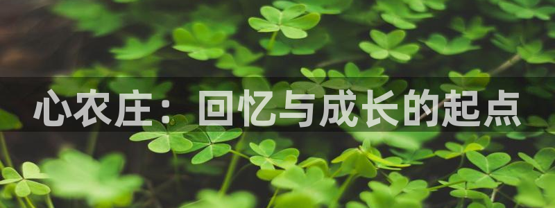 天辰娱乐厕所