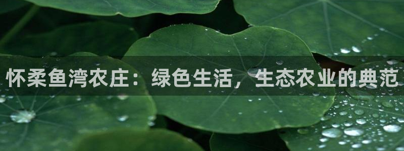 天辰娱乐