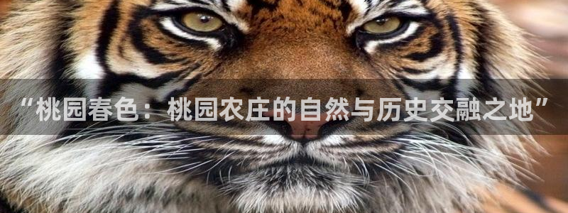 天辰娱乐厕所
