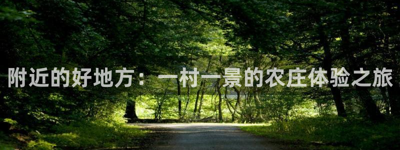 辰天娱乐用品