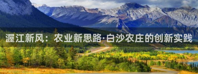 辰天娱乐用品