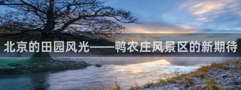 天辰娱乐平台入口