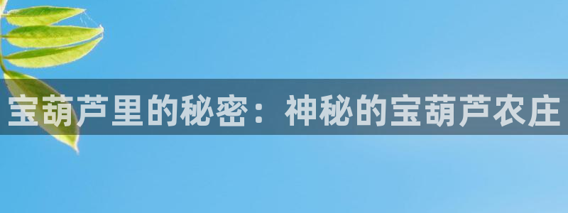 天辰娱乐客服