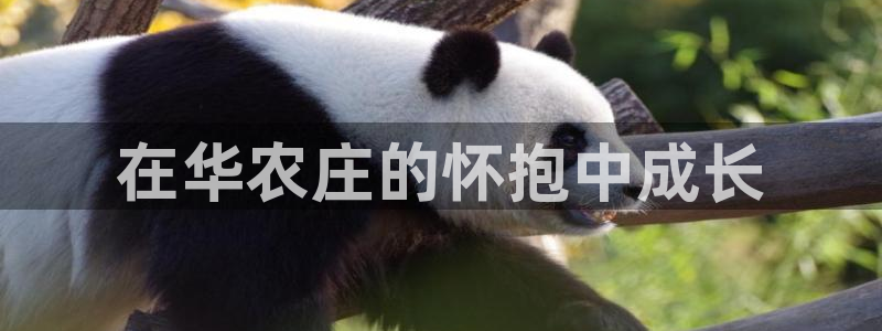 天辰娱乐平台娱乐注册