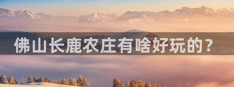 天辰娱乐官网平台入口