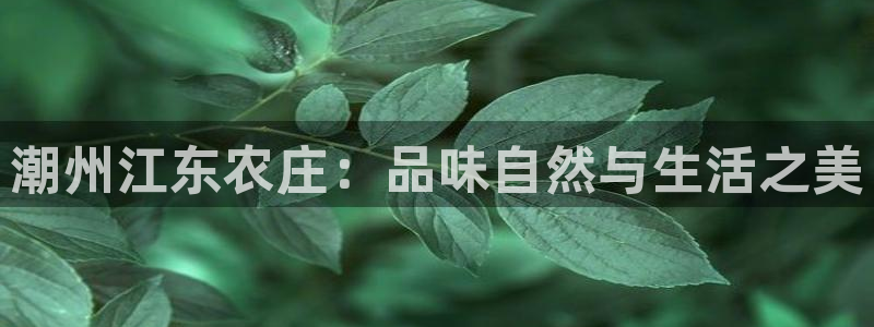 天辰娱乐入口