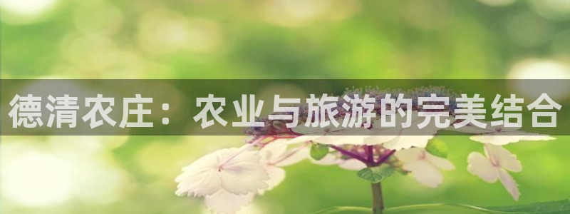 天辰天辰娱乐