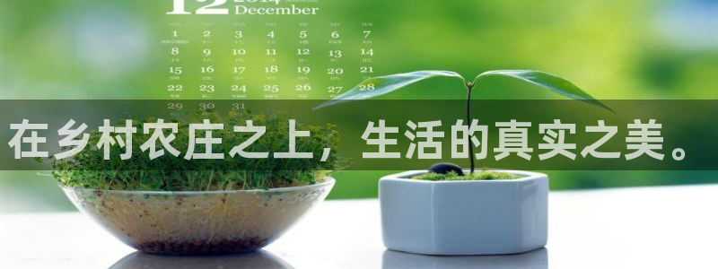 天辰娱乐连接