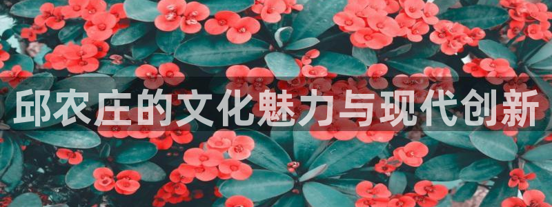 天辰娱乐app