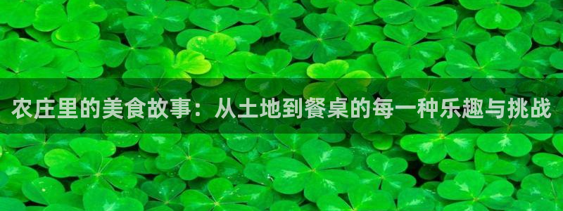 天辰娱乐连接
